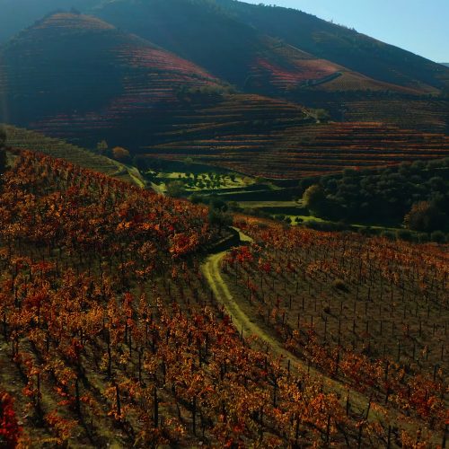 Douro (All year)