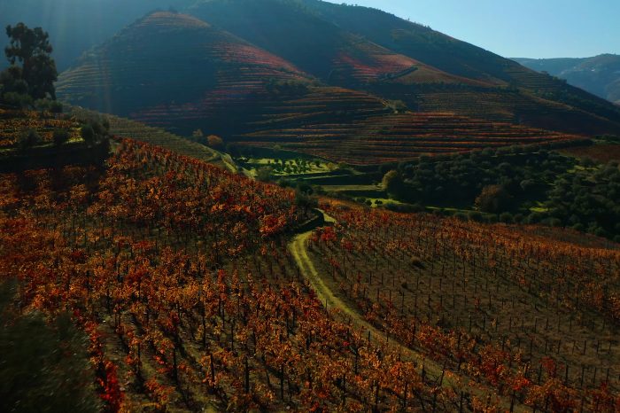 Douro Valley