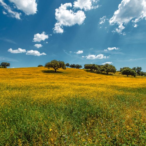Évora-Monsaraz
