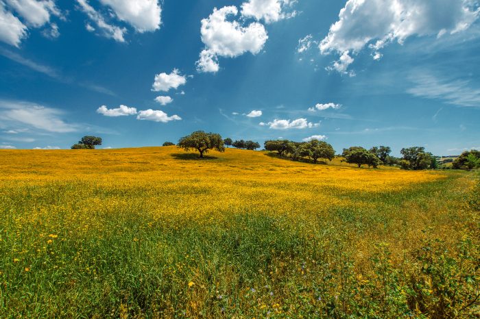 Alentejo